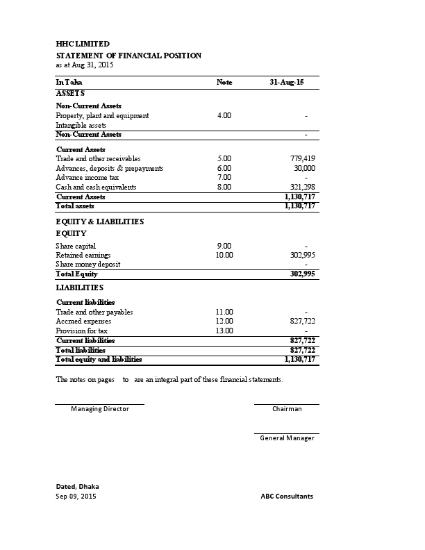 statement of financial position of hhcl.pdf