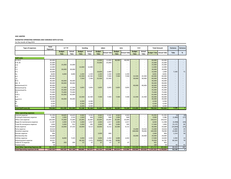 project-wise budget & variance of hhcl.pdf