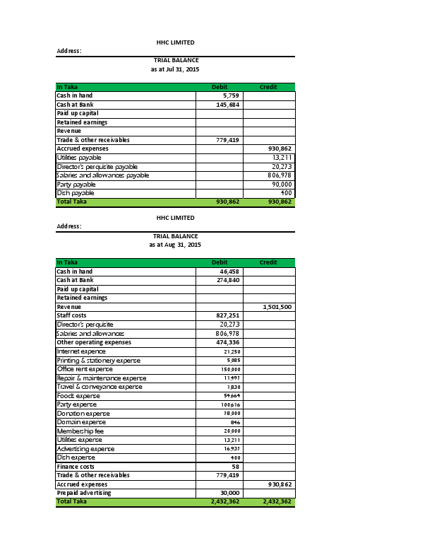 trial balance of hhcl.pdf
