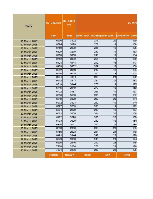 Montly report  2025.pdf