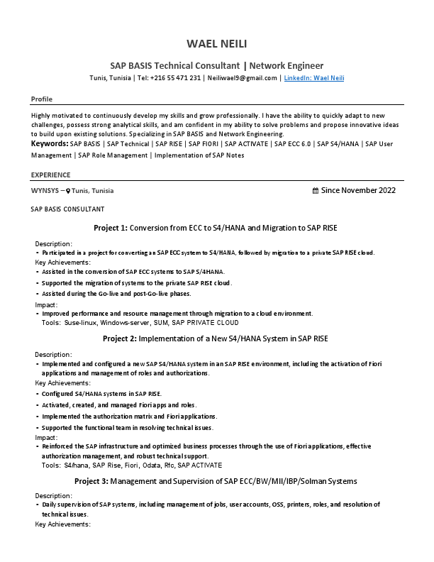 NeiliWael_SAP_Basis.pdf