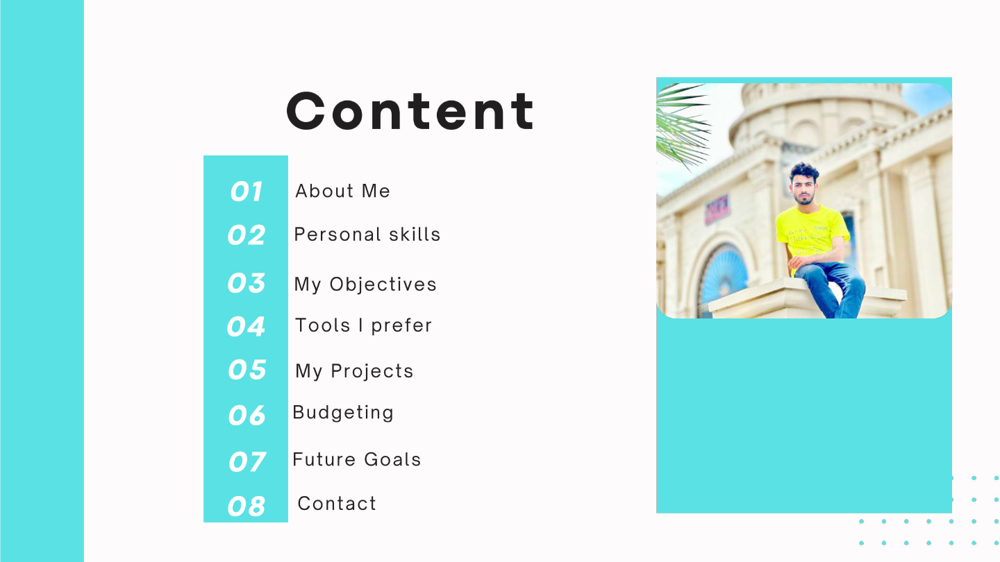 Ali Hassan Portfolio .pdf