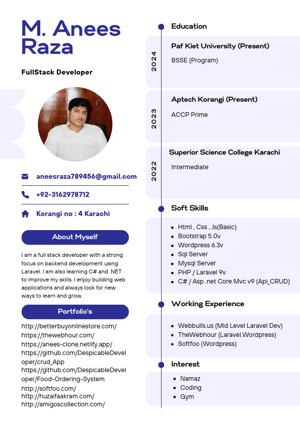 AneesRaza_Resume.pdf