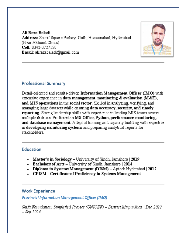 AliRazaBaladi Resume.pdf