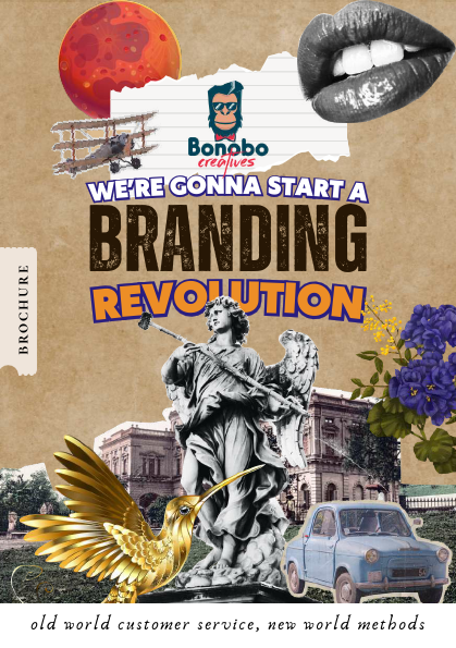 Bonobo_Biz Profile.pdf