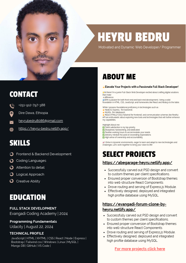 Professional Web Developer Resume.pdf
