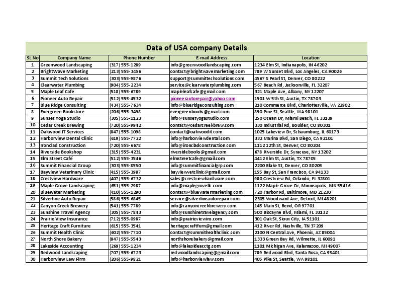 USA Company Data.pdf