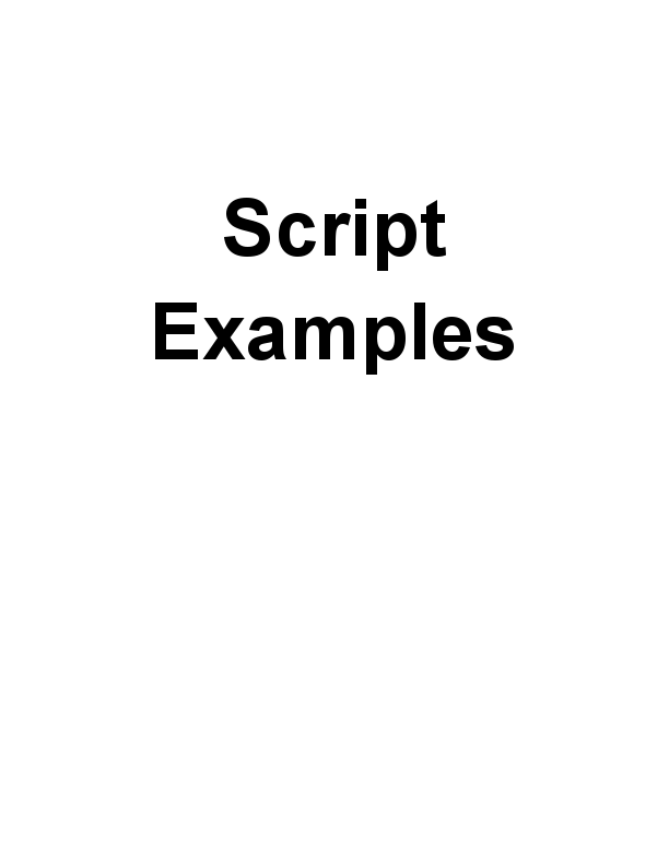 Ad Script Examples (1).pdf