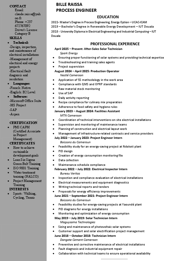 CV BILLE RAISSA eng.pdf