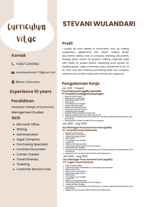 New CV Stevani.pdf