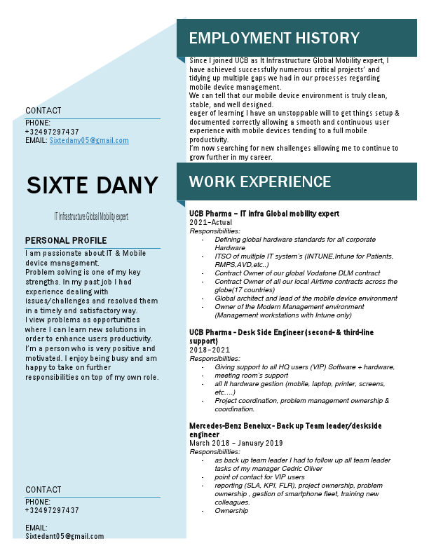Cv dany V3 2024.pdf