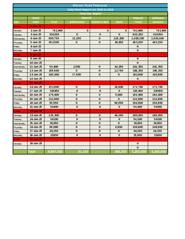 Audit report for Cashier 2025-26.pdf