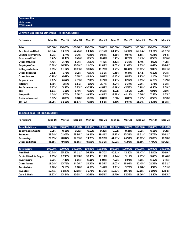 Common Size Statment.pdf