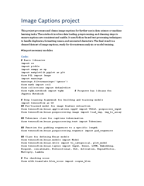 image_captions_project.pdf