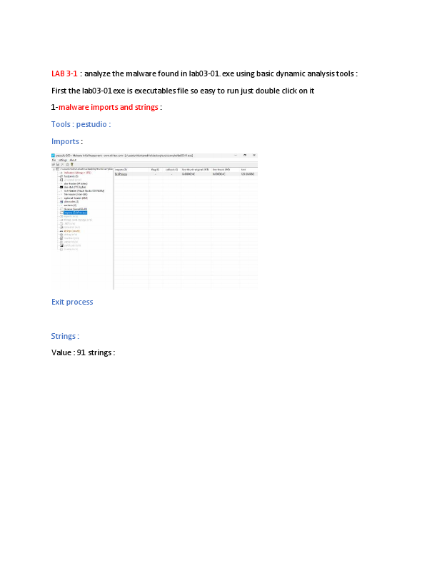 malware analysis report .pdf