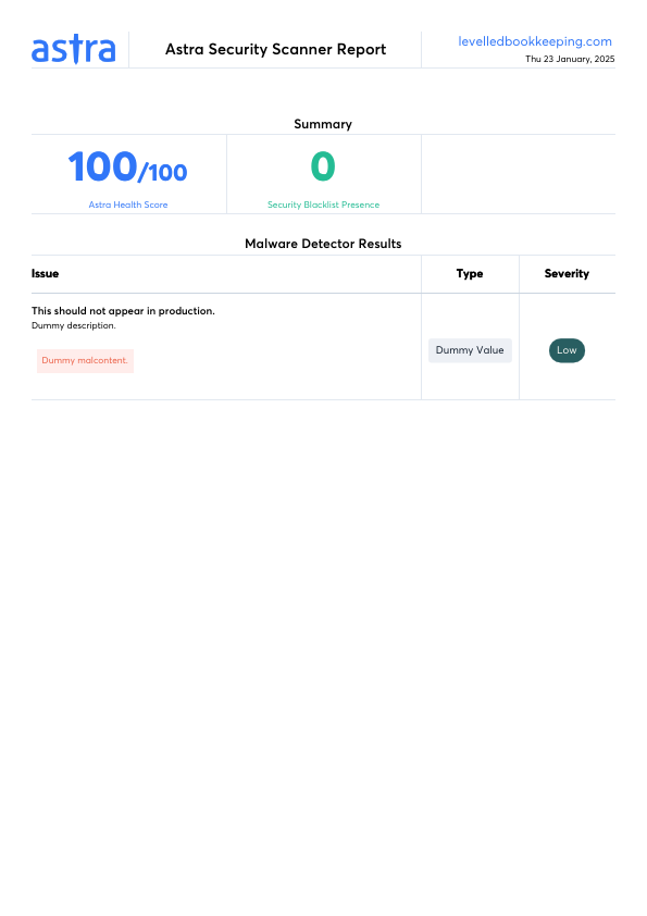 Security Scanner Report.pdf