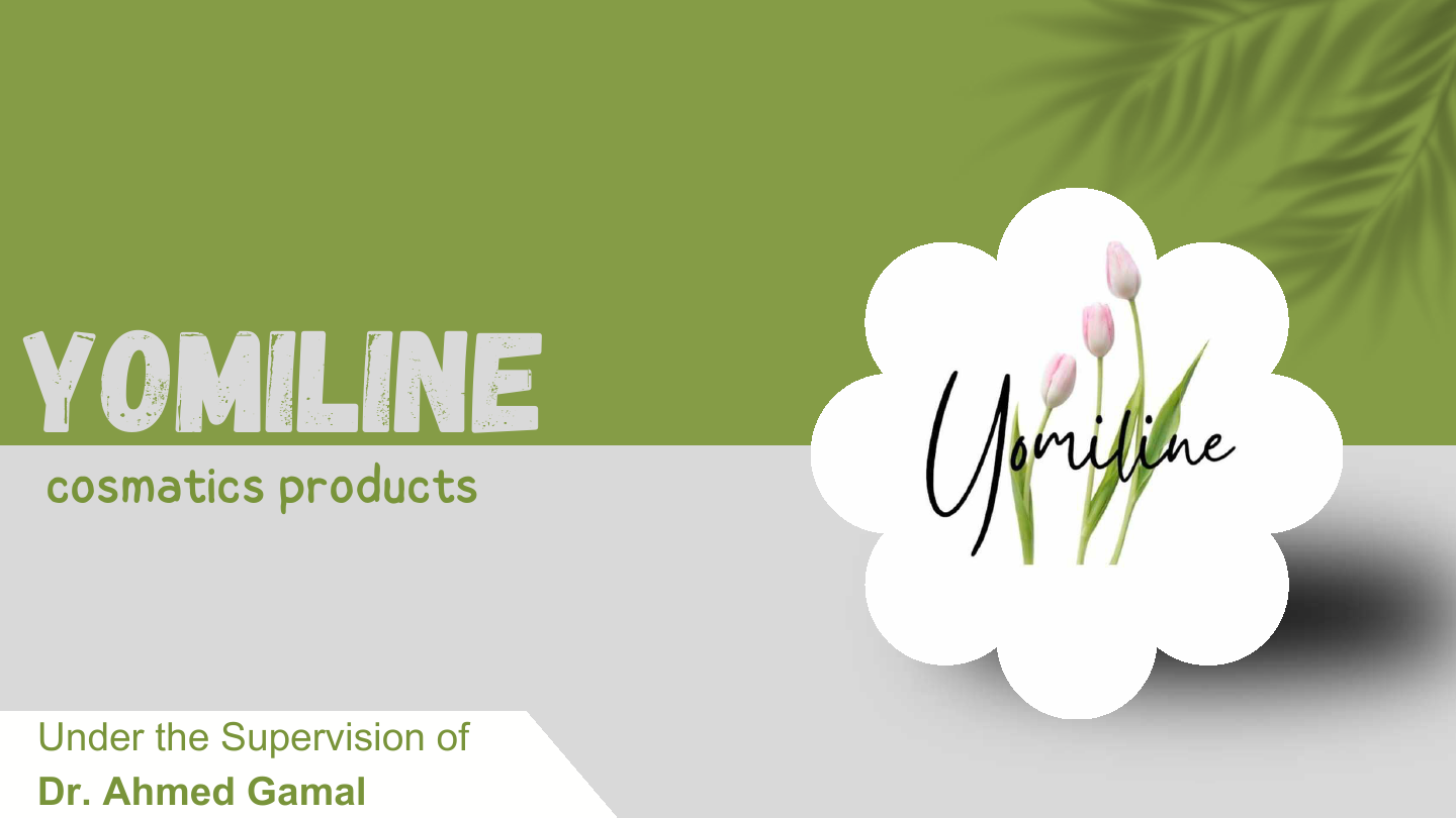 Yomiline_Final_Delivery_Peresentation.pdf