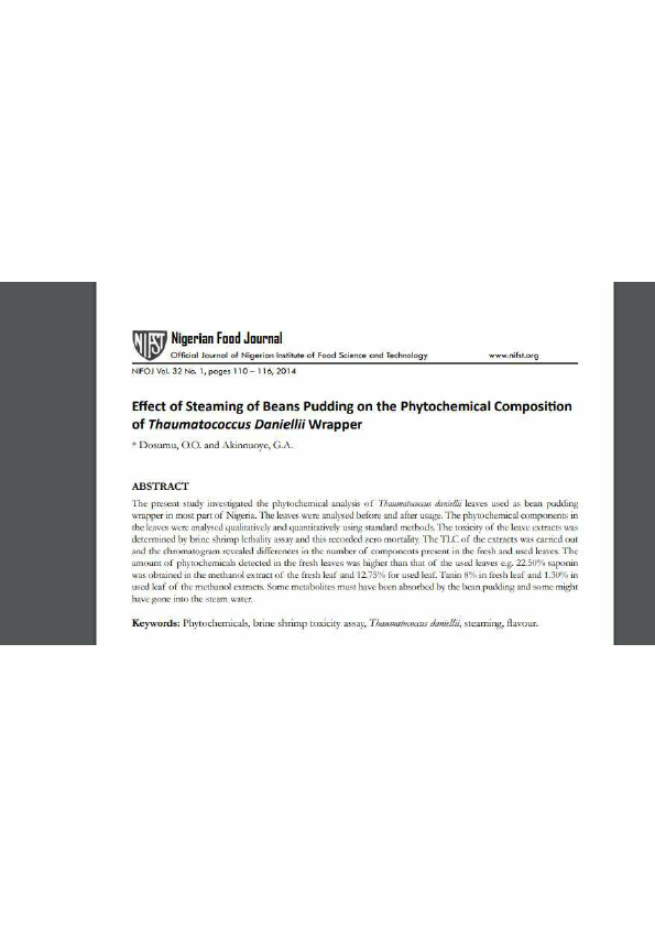 Steam Effect (1).pdf