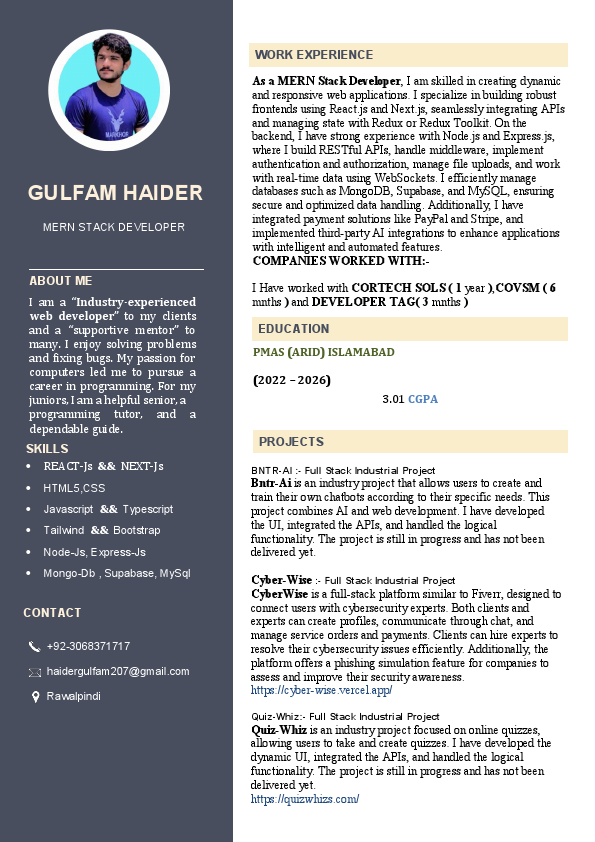 Gulfam Haider Mern Stack Developer.pdf