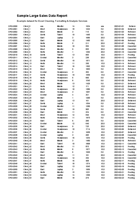 Large_Sales_Report.pdf