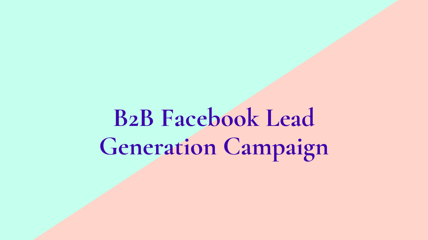 B2B_Lead_Generate_Campaign.pdf