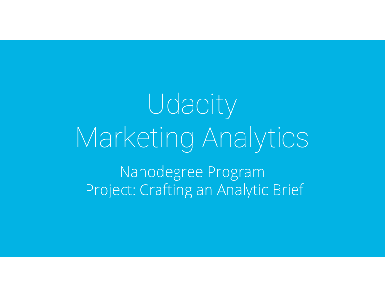 Crafting an Analytic Brief for Model 3 Tesla.pdf