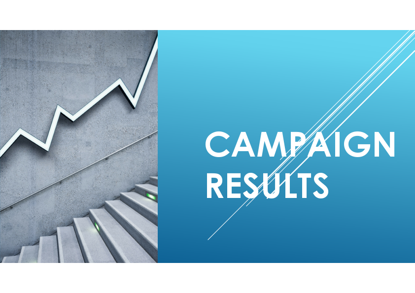 Overall Campaigns.pdf