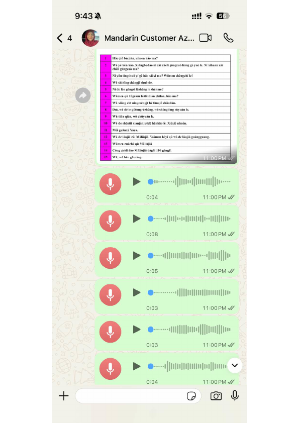 Mandarin Translation Services Portfolio.pdf
