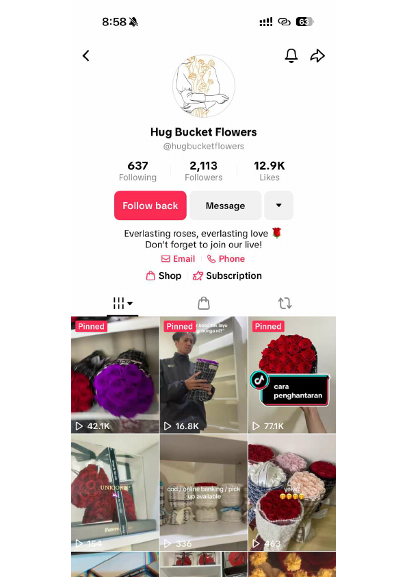 TikTok Page & Video Highlights.pdf