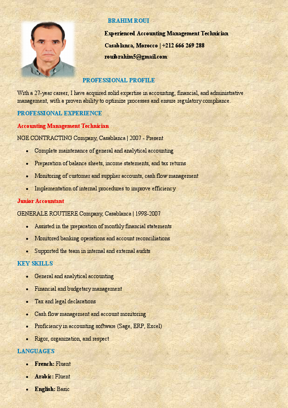 CV_Brahim_Roui_Professionnel.pdf