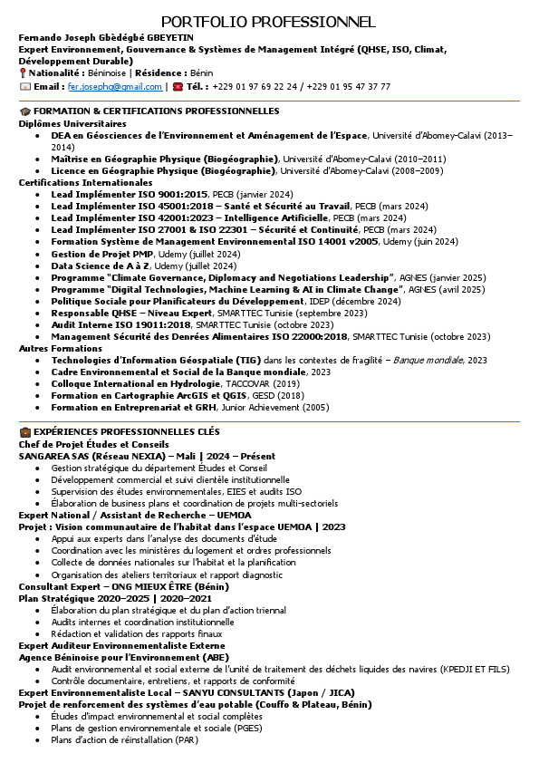 PORTFOLIO PROFESSIONNEL.pdf