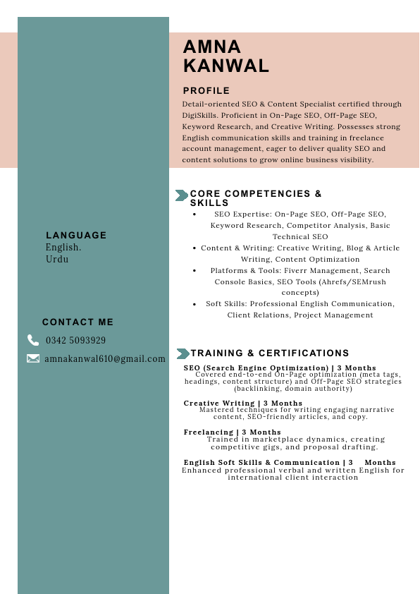 seo cv amna.pdf