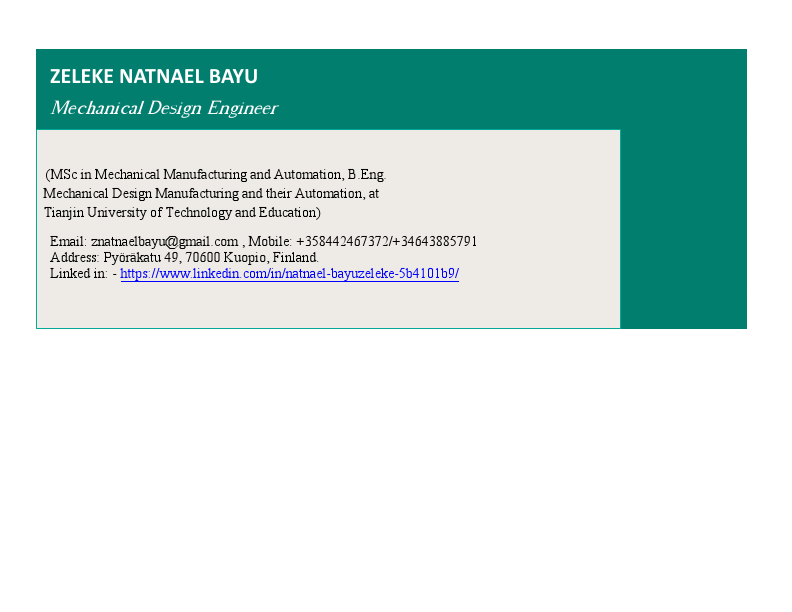 Natnael Bayu Zeleke - Portfolio.pdf