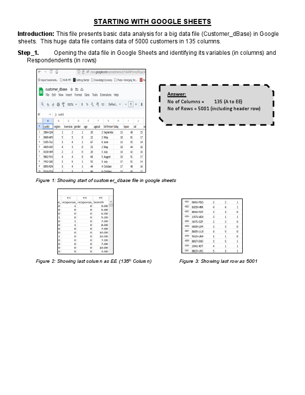 Sample_1_Data Analytics using Google Sheets.pdf