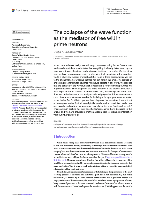 fnins-19-1637217 (36).pdf