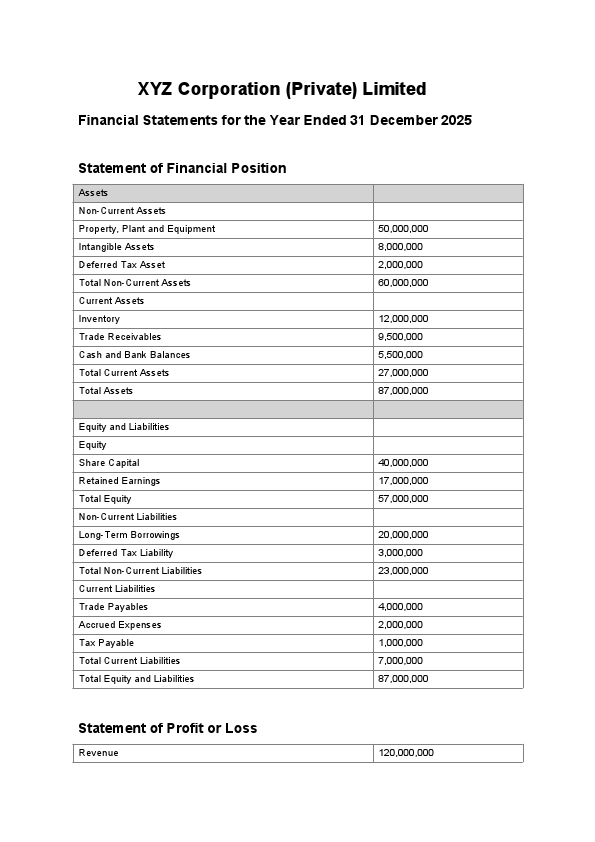 xyz_financial_statements.pdf