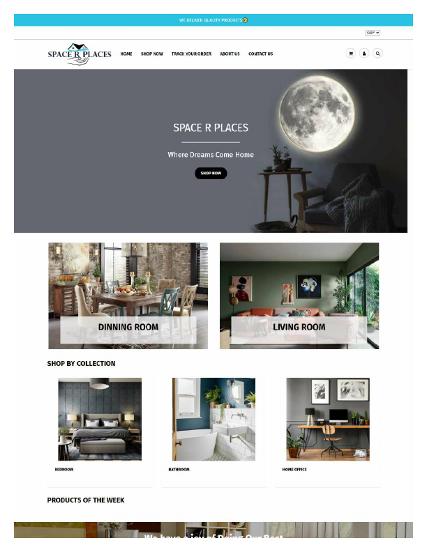 shopify online dropshipping store.pdf