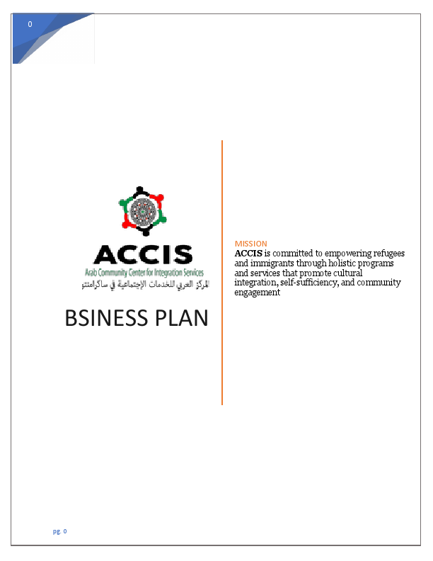 ACCIS BUSINESS PLAN.pdf