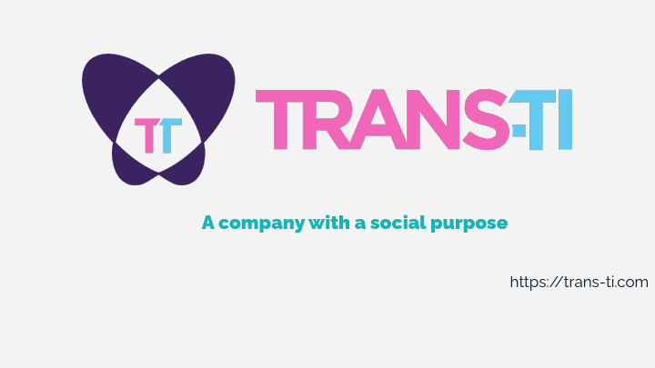 Presentation DECK - Trans-TI - Multilingual QA+Data Enrichment+VA.pdf