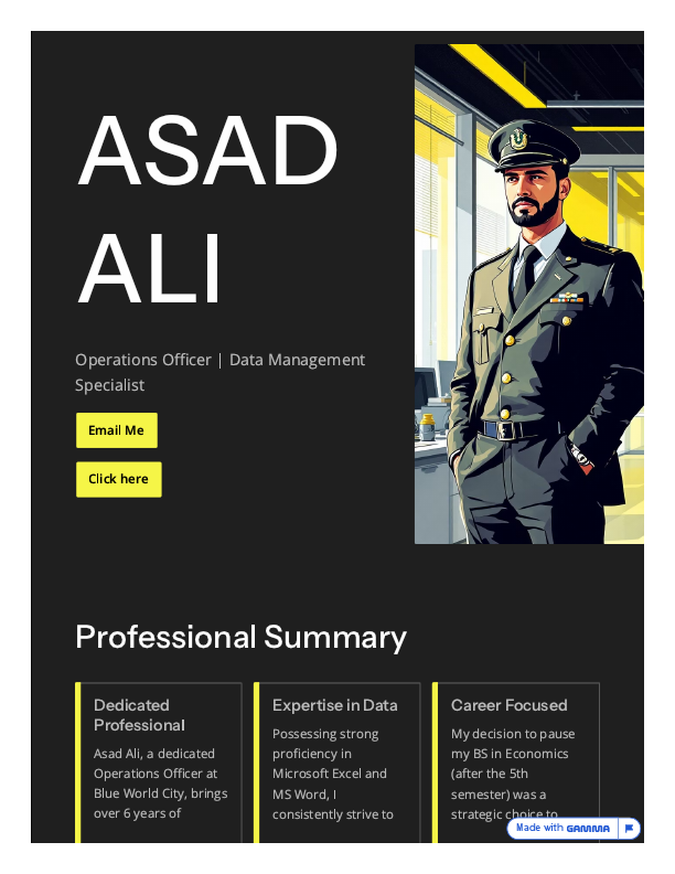 ASAD ALI Portfolio.pdf