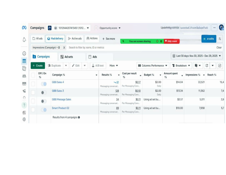 CAMPAIGN - PIXEL & CATALOG SETUP.pdf