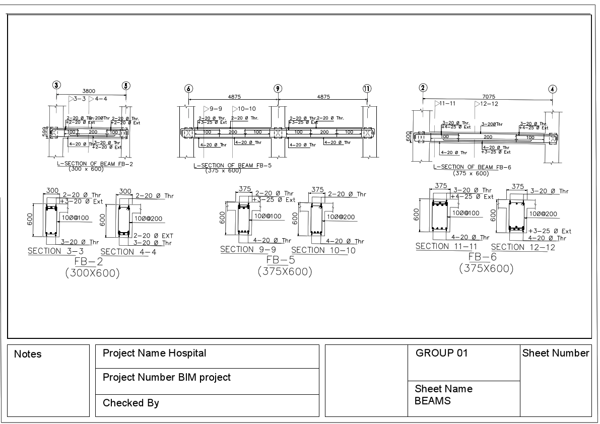 BIM Project-BEAMS.pdf