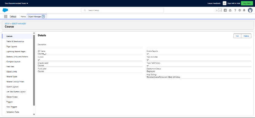 Salesforce Capstone Project 1.pdf