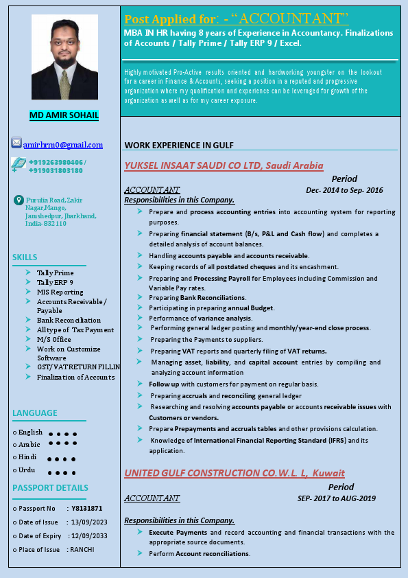 Amir Accountant CV .pdf