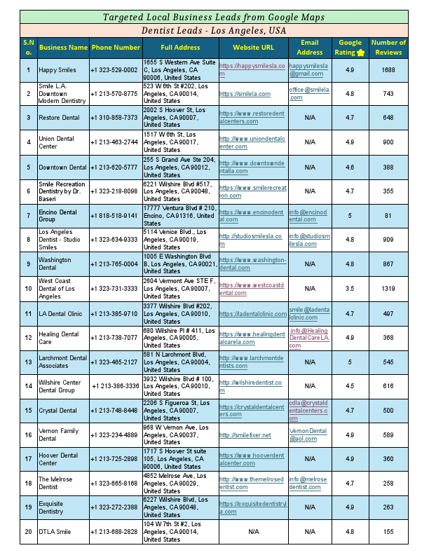 Google Maps Leads Sample (2nd).pdf