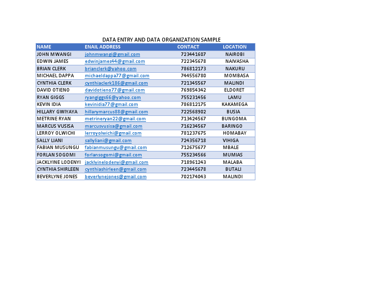 DATA ENTRY AND DATA ORGANIZATION SAMPLE NEW.pdf