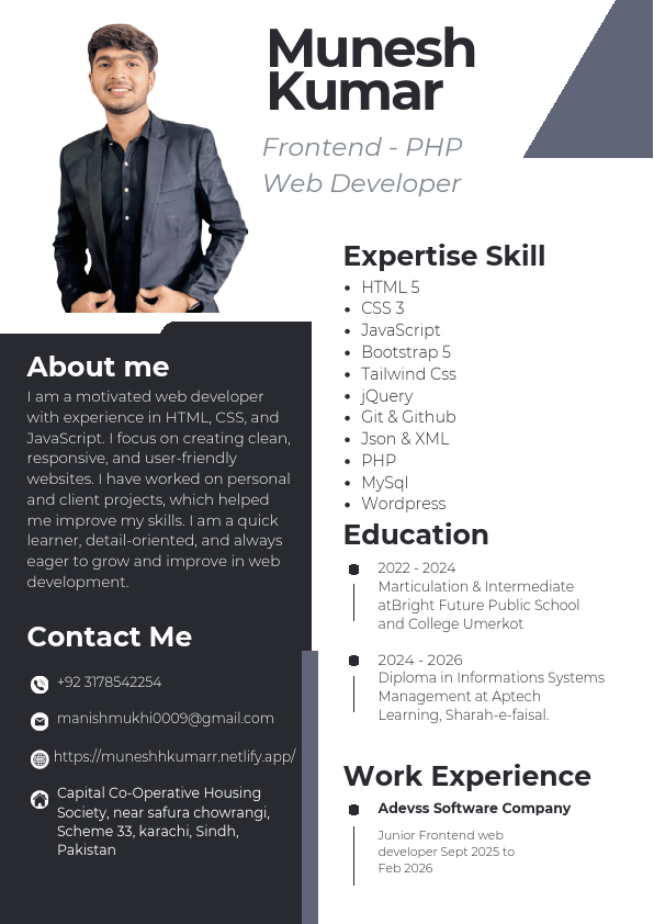 Professional CV Resume.pdf