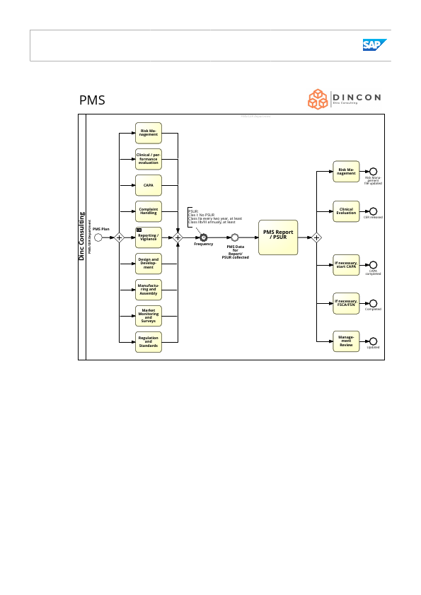 PMS_DINCON.pdf