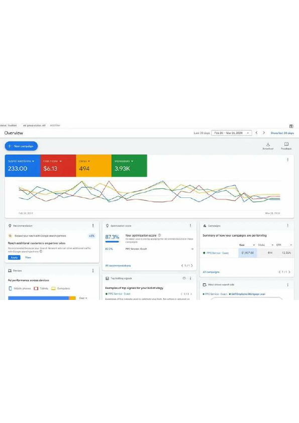google ads portfolio.pdf