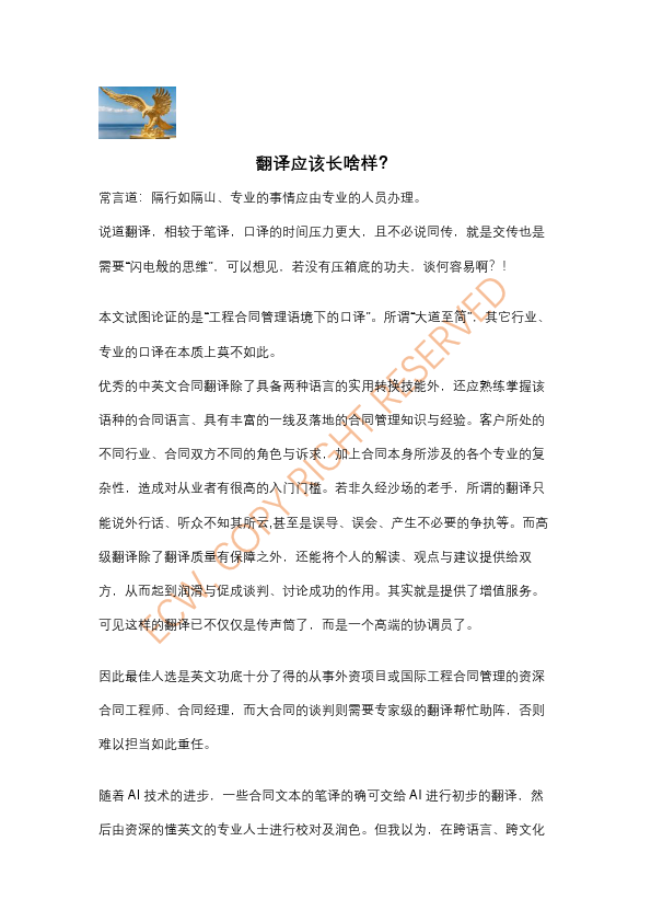 翻译应该长啥样,RELEASED.pdf